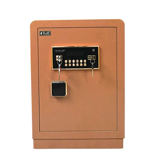 DIGITAL SAFETY LOCKER (D-620)
